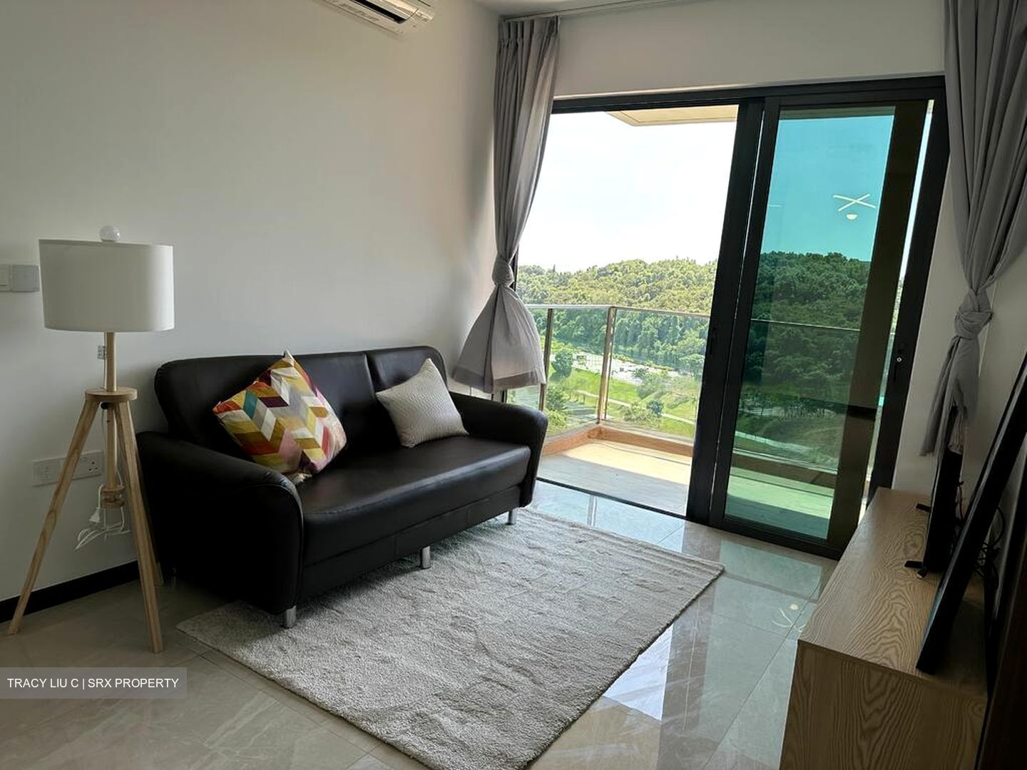 Normanton Park (D5), Apartment #481741521